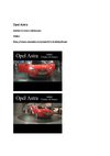 Opel Astra - SelMcKenzie Selzer-McKenzie