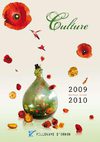 Saison culturelle Villenave d'Ornon 33
