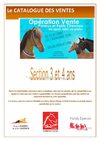 Catalogue des ventes 2009 : 3 et 4 ans France Poneys et Petits Chevaux