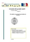 MiniCode 3