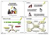 Organização Empreendedora