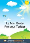 Le Mini Guide Pro pour Twitter