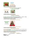 Bibliothèque Municipale - Programme automne-hiver 2009