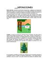 DEFINICIONES