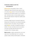 Introduction of Black lip shell from www.bjbead.com