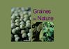 Plateaux repas "Graines de nature"