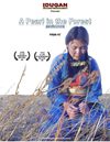 A Pearl in the Forest, the movie press kit