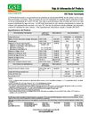 GSE VERDE TEXTUARIZADA