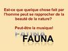 fauna