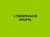 observacio grupal