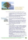 Note de synthèse