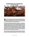IMPRESIONES DE UN RESERVISTA