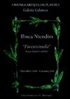 Exposition Ilinca Nicodim