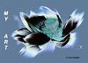 My Art