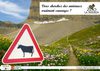 Projet de communication noté : Zoo de la Barben