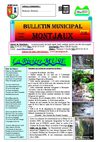 Bulletin Municipal de la commun de Montjaux n° 48 - Mars 2009