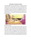 Tips to spot a fake psychic reading