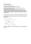 Introduction à l'économie islamique