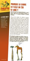 Les panneaux de l'exposition