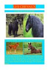 Les chevaux