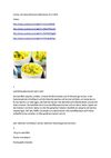 Kochen mit Selzer-McKenzie SelMcKenzie 26.12.2009