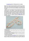 www.aypearl.com guide you Clothing and jewelry new matching
