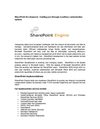 SharePoint Development - Guiding you through countless customization options