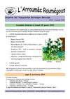 Arroumec n°31