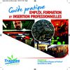 guide pratique emploi, formation et insertion professionnelles