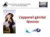 L'appareil génital féminin