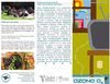 Ozono 2009