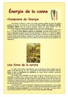 ENERGIE DE LA CANNE