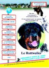Bulletin d'information février 2010