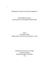 Tesis de Maestria ( no es versión final)