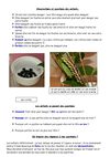 07observation_et_questions