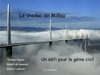 Le viaduc de Millau TPE Emeric Lusinchi