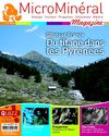 MicroMinéral Magazine N°1
