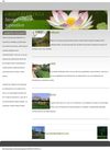 bienes raices
