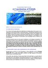 A EUROPEAN CONSTITUTION - A Constitution of Pitfalls (2005) English Translation: 2009