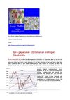Euro Dollar Trading Prognose von Selzer-McKenzie SelMcKenzie
