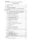 Mémoire de Master en International Management: Optimiser la Journée de l'Europe pour développer l'identité...