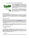 Online Casino Admin: Your Guide Into Online Casino World