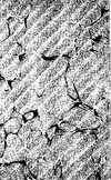 Essai sur le culte et les mystères de Mithra