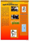 avvenimenti significativi parrocchia