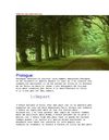 twilight fiction 1