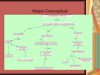 Mapa conceptual