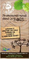 Promenons-nous dans le bois