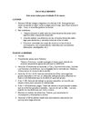 PLAN DE ACTIVIDADES - DIA 2