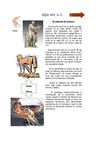 Trabajo de lectura e investigación