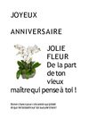 Annive sandra